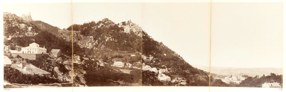 Fotografi av Cintra - Hallwylska museet - 105327