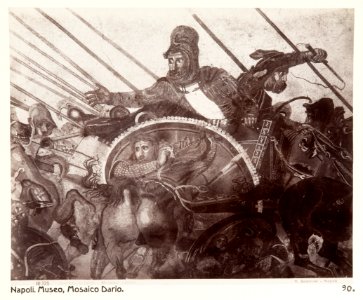Fotografi av Alexandermosaiken. Neapel, Italien - Hallwylska museet - 106849