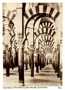 Fotografi av Córdoba. Mezquita, Laberinto de Columnas - Hallwylska museet - 104768