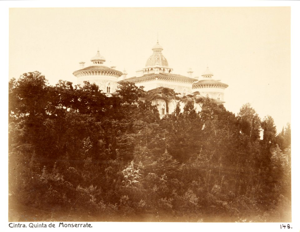 Fotografi av Cintra. Quinta de Monserrate - Hallwylska museet - 105329