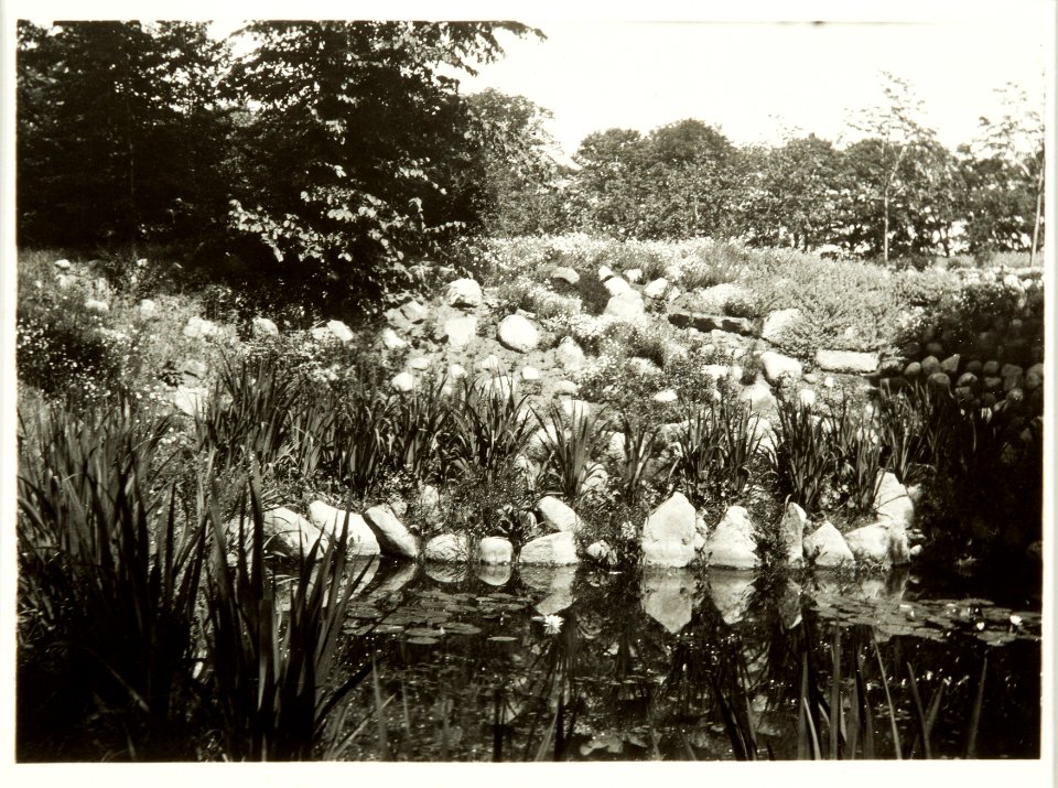 Fotografi av Hildesborg. Hildesborgs trädgård - Hallwylska museet - 106440