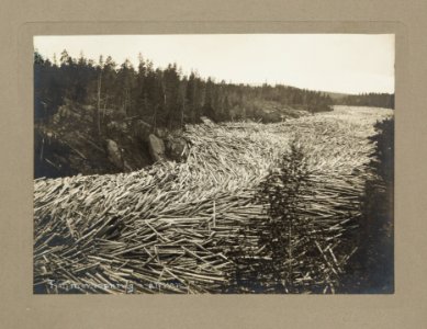 Fotografi av Ljusne. Timmerbröt i Ljusneälven - Hallwylska museet - 106811