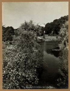 Fotografi av Hildesborgs slott. Vy över fiskdammen och parken - Hallwylska museet - 106734