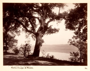Fotografi av Lago di Albano - Hallwylska museet - 104706