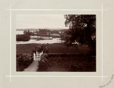 Fotografi av landskap - Hallwylska museet - 106815