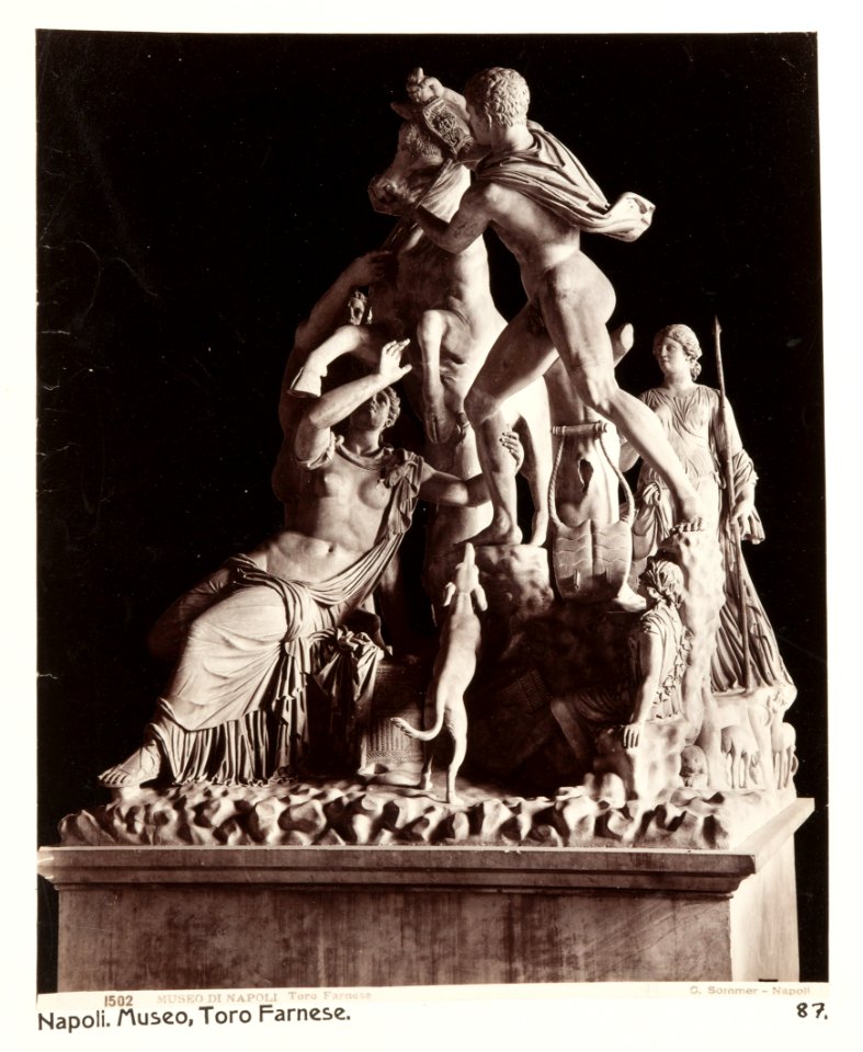 Fotografi av Museo, Toro Farnese. Neapel, Italien - Hallwylska museet - 106846