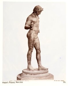 Fotografi av Narcissos. Neapel, Italien - Hallwylska museet - 106851
