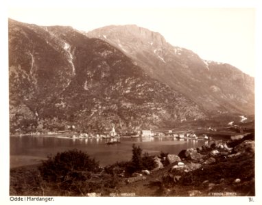 Fotografi av Odde i Hardanger. Norge - Hallwylska museet - 105717