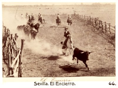 Fotografi av Sevilla. El Encierro - Hallwylska museet - 104812 photo