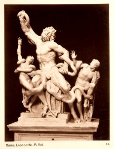 Fotografi av Roma. Laocoonte. M. Vat - Hallwylska museet - 104739