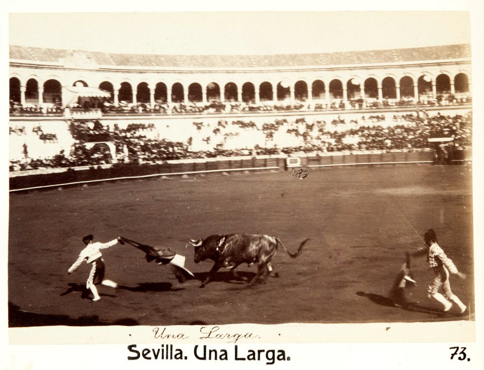 Fotografi av Sevilla. Una larga - Hallwylska museet - 104819