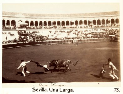 Fotografi av Sevilla. Una larga - Hallwylska museet - 104819