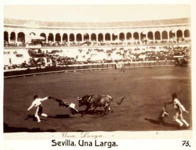 Fotografi av Sevilla. Una larga - Hallwylska museet - 104819 photo