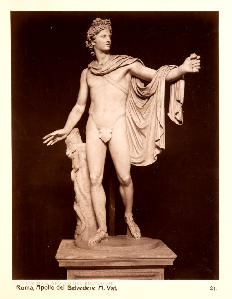 Fotografi av Roma. Apollo del Belvedere. M. Vat - Hallwylska museet - 104741