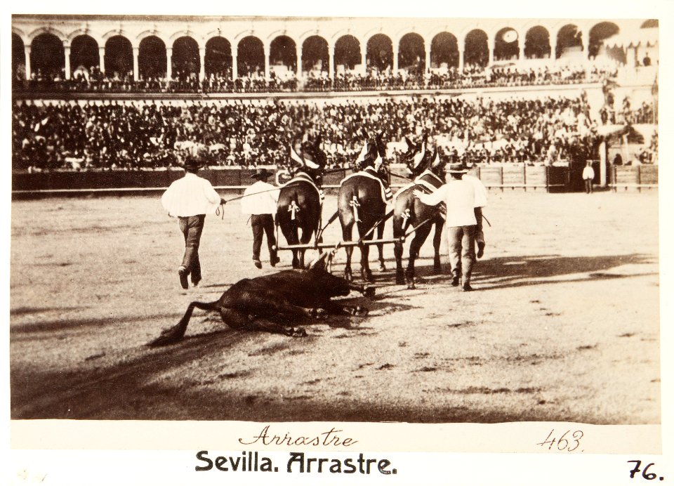 Fotografi av Sevilla. Arrastre - Hallwylska museet - 104822