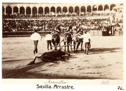 Fotografi av Sevilla. Arrastre - Hallwylska museet - 104822 photo