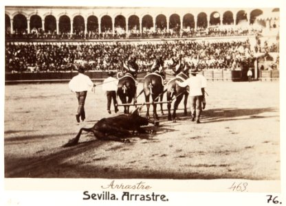 Fotografi av Sevilla. Arrastre - Hallwylska museet - 104822