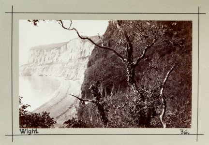 Fotografi av Shanklin Bay. Isle of Wight, England - Hallwylska museet - 106695