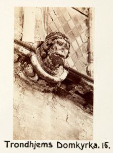 Fotografi av Trondheims domkyrka, Norge - Hallwylska museet - 105803