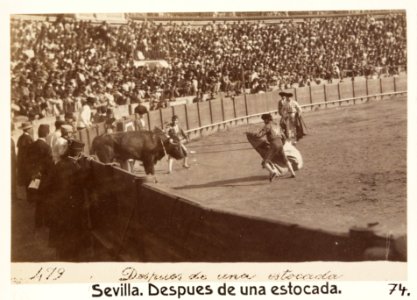 Fotografi av Sevilla. Despues de una estocada - Hallwylska museet - 104820 photo