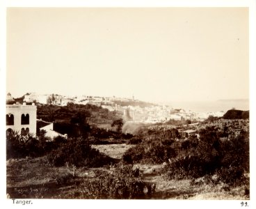 Fotografi av Tanger - Hallwylska museet - 104951
