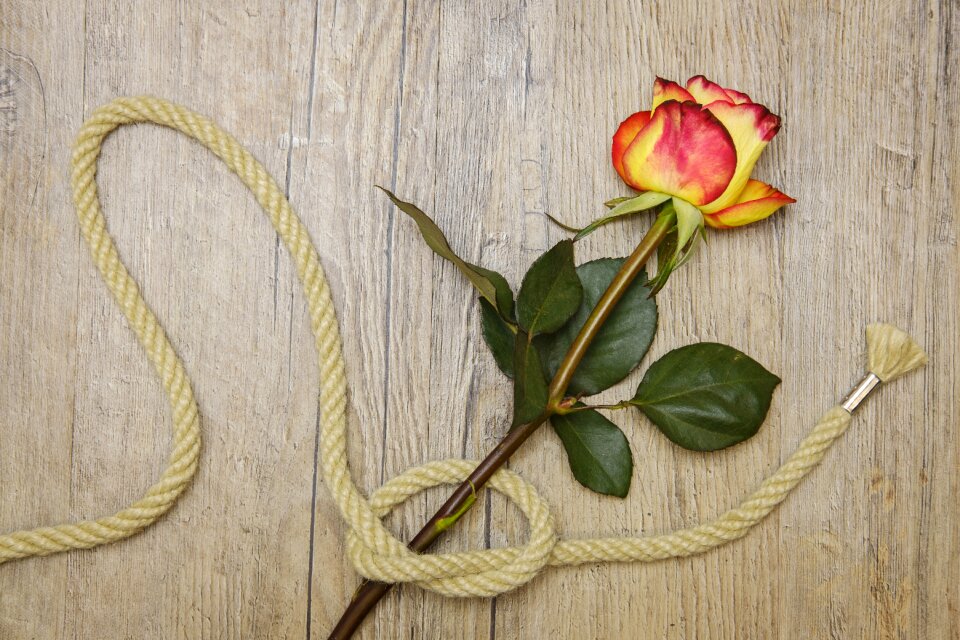 Connected knot romance