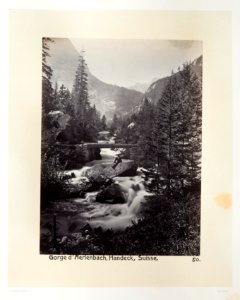Fotografi av skog, flod och berg i Schweiz - Hallwylska museet - 103183 photo