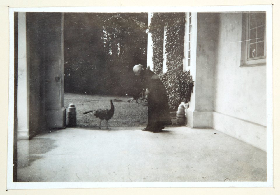 Fotografi av Wilhelmina von Hallwyl matar påfågel på Hildesborg - Hallwylska museet - 106656