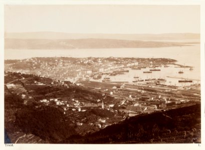 Fotografi av Triest - Hallwylska museet - 104873