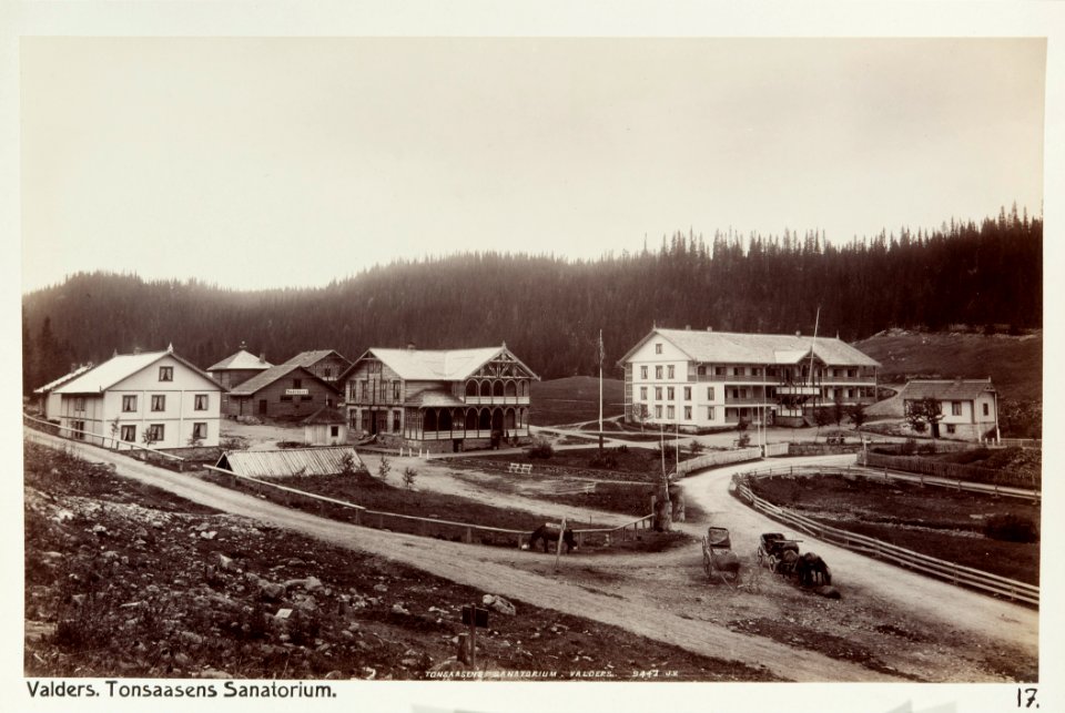 Fotografi av Tonsåsens sanatorium. Valders, Norge - Hallwylska museet - 105705