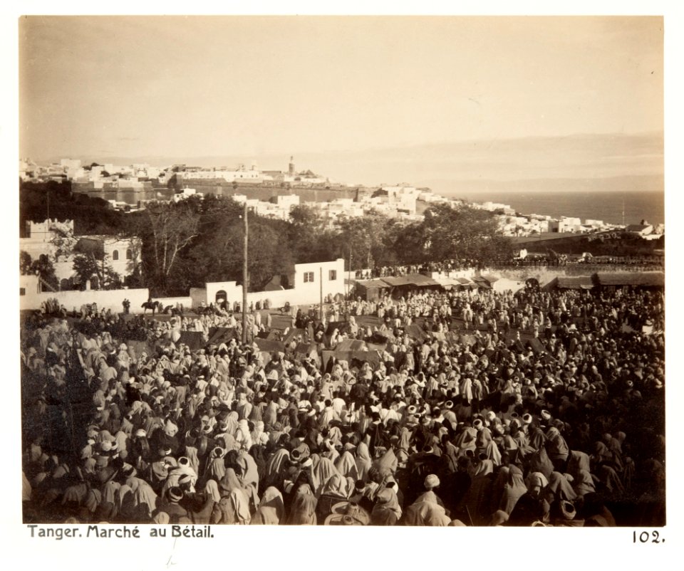 Fotografi av Tanger. Marché au bétail - Hallwylska museet - 104959
