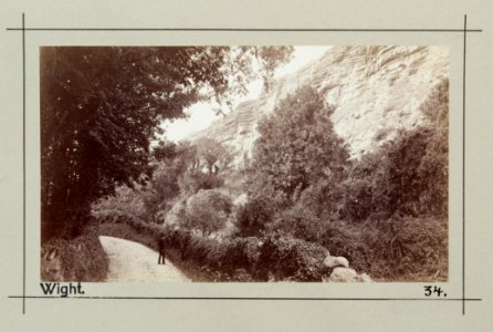Fotografi av Ventnor. Isle of Wight, England - Hallwylska museet - 106693