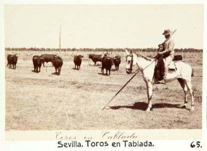 Fotografi av Toros en tablada. Sevilla, Spanien - Hallwylska museet - 106679 photo