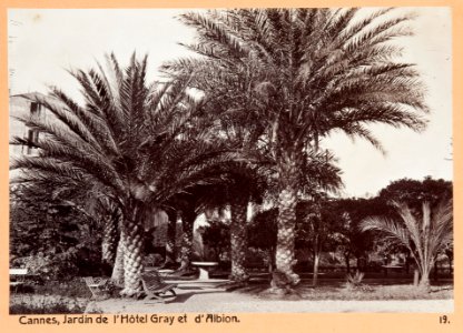Fotografi från Cannes - Hallwylska museet - 104510