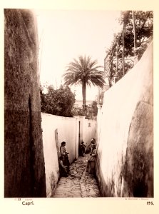 Fotografi från Capri - Hallwylska museet - 104103
