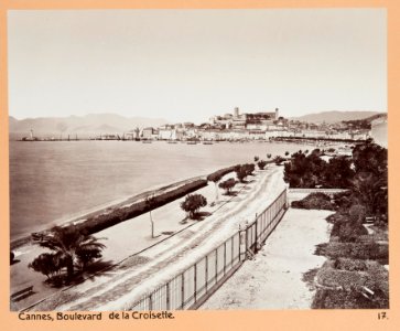 Fotografi från Cannes - Hallwylska museet - 104508