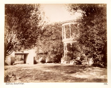 Fotografi från Damaskus - Hallwylska museet - 104278