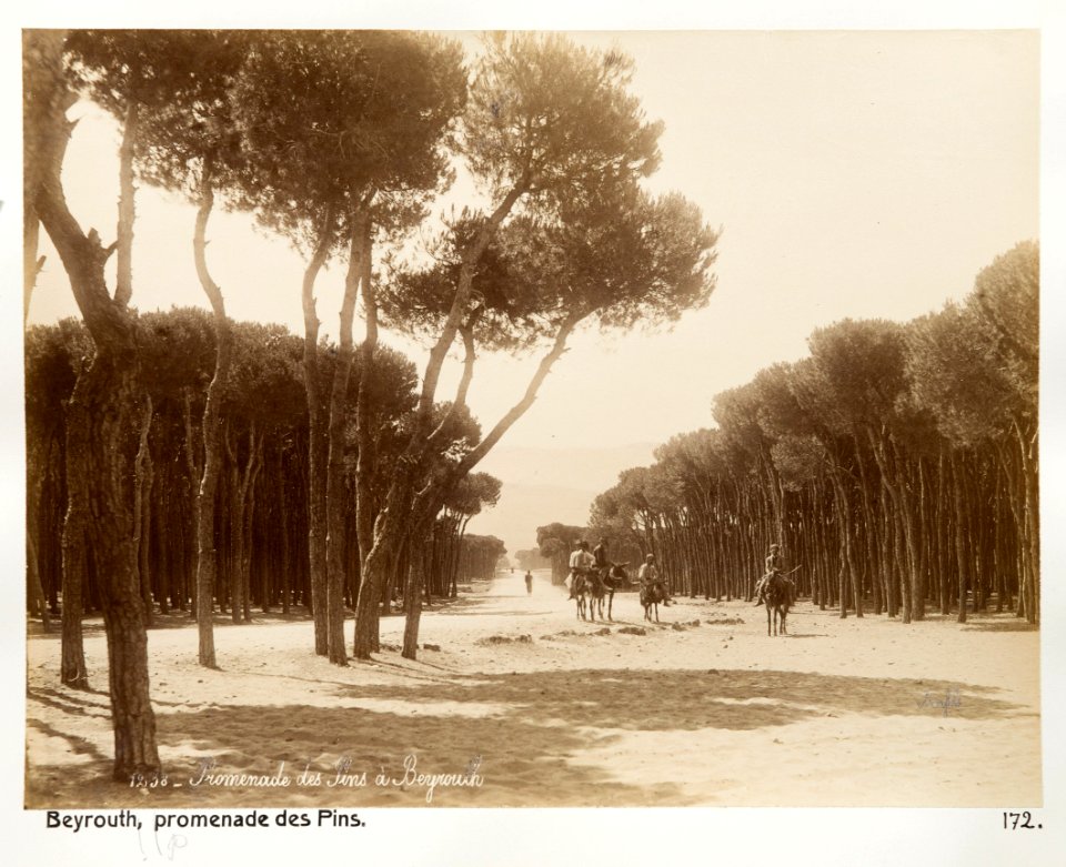 Fotografi från Beirut - Hallwylska museet - 104296