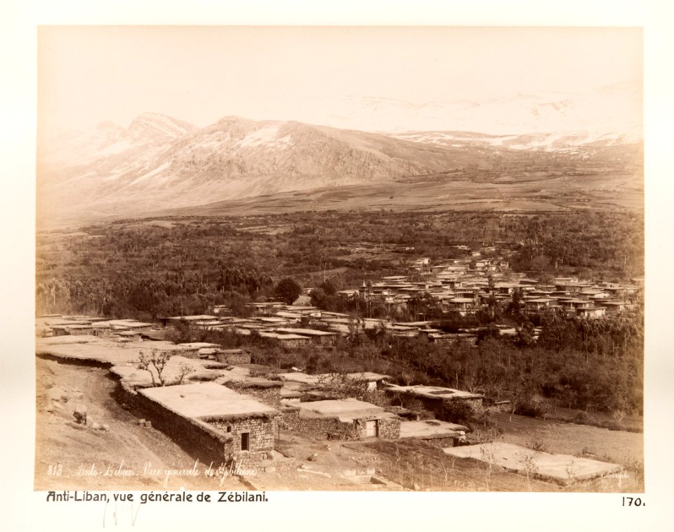 Fotografi från bergen i Libanon - Hallwylska museet - 104294