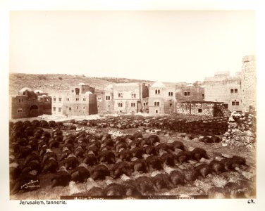 Fotografi från garveri, Jerusalem - Hallwylska museet - 104413