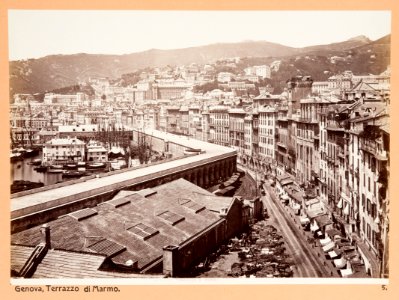 Fotografi från Genua - Hallwylska museet - 104496