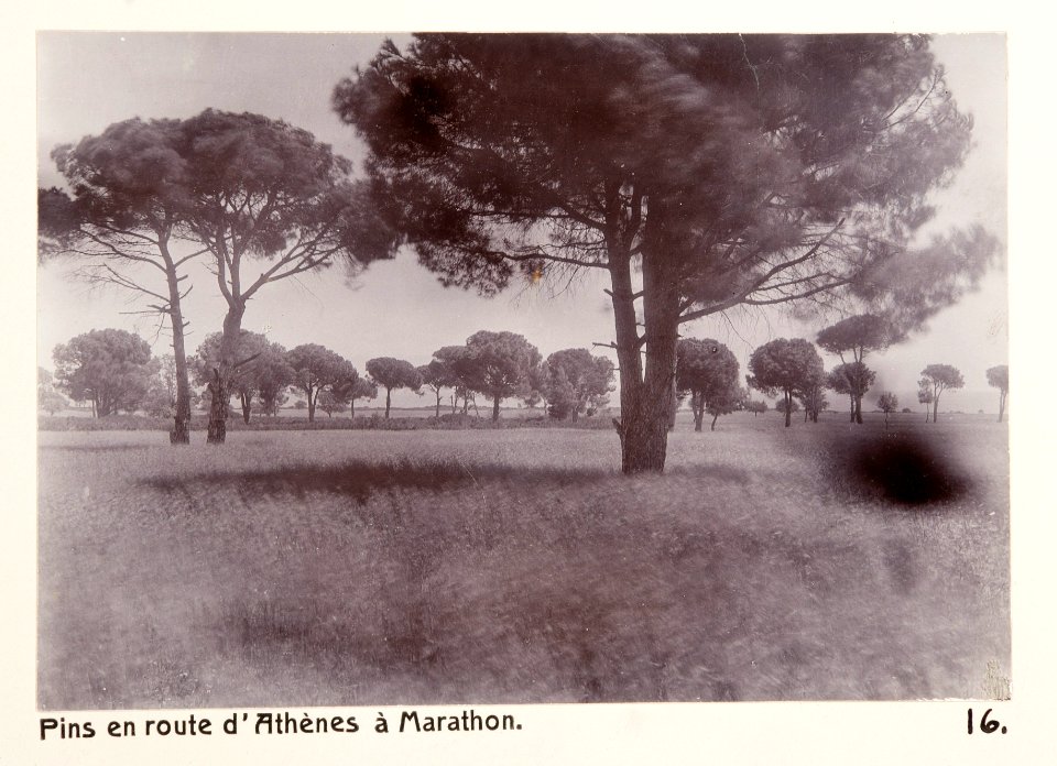 Fotografi från Grekland, 1896 - Hallwylska museet - 104574