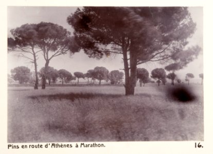 Fotografi från Grekland, 1896 - Hallwylska museet - 104574