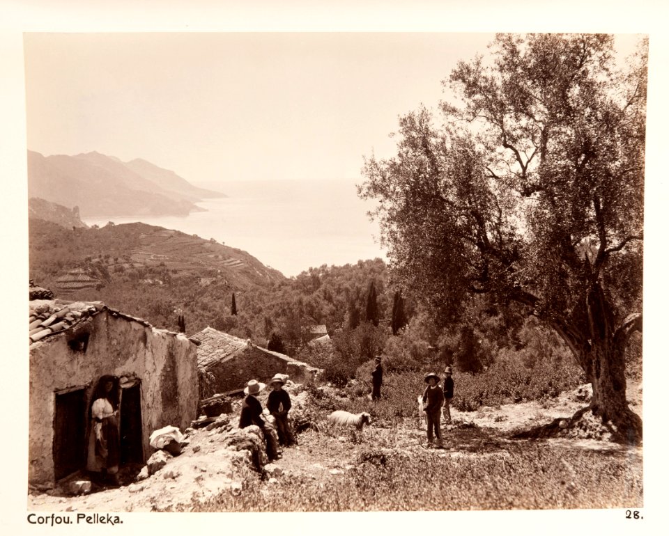 Fotografi från Korfu, Grekland - Hallwylska museet - 104586