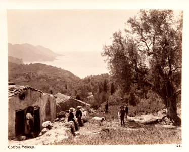 Fotografi från Korfu, Grekland - Hallwylska museet - 104586