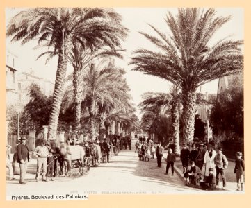 Fotografi från Hyères - Hallwylska museet - 104550