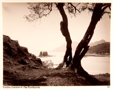 Fotografi från Korfu, Grekland, 1896 - Hallwylska museet - 104579