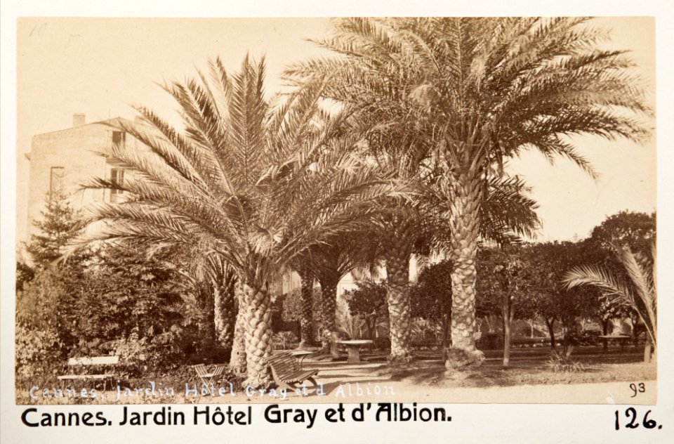 Fotografi från Jardin de l'Hôtel Gray et d'Albion, Cannes - Hallwylska museet - 107218