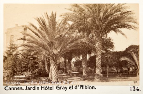 Fotografi från Jardin de l'Hôtel Gray et d'Albion, Cannes - Hallwylska museet - 107218