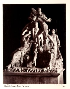 Fotografi från Neapel - Hallwylska museet - 104155